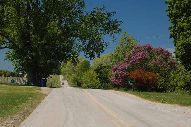 A bak road on the OMP